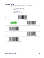 Предварительный просмотр 110 страницы Datalogic PowerScan PD7130 Product Reference Manual