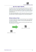 Preview for 89 page of Datalogic PowerScan PD9530 Product Reference Manual