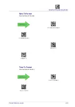 Предварительный просмотр 231 страницы Datalogic PowerScan PD9530 Product Reference Manual