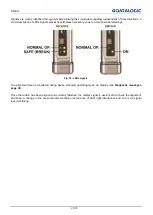 Preview for 28 page of Datalogic SG4-H14-015-OO-X-B Instruction Manual