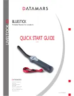 Datamars BLUESTICK Quick Start Manual preview