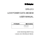 Dataplex DPX-213 User Manual preview