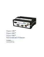 Dataradio Viper-1000 User Manual preview