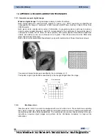 Предварительный просмотр 147 страницы Datasensor SCS1 Series Instruction Manual