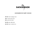 Предварительный просмотр 1 страницы Datasensor SE-DM 1200 Manual