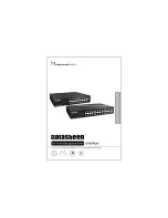 Datasheen D316S Quick Installation Manual предпросмотр