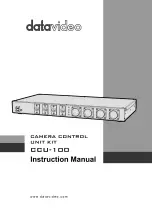 Предварительный просмотр 1 страницы Datavideo CCU-100 Instruction Manual