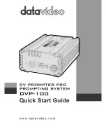 Datavideo DVP-100 Quick Start Manual предпросмотр