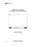 Datavideo TLM 170 Instruction Manual preview