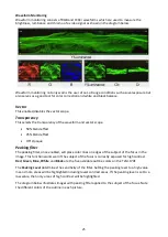 Preview for 25 page of Datavideo TLM-170F Instruction Manual