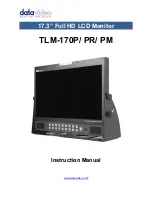 Datavideo TLM-170P Instruction Manual preview