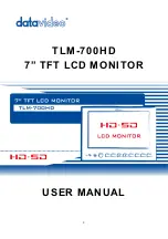 Datavideo TLM-700HD User Manual предпросмотр