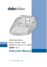 Preview for 1 page of Datavideo WM-11 Instruction Manual