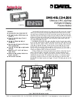 Datel DMS-40LCD-4/20S Manual предпросмотр