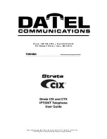 Datel Strata CIX User Manual предпросмотр