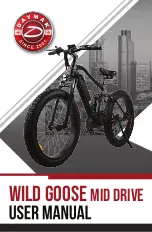 Daymak Wild Goose Mid Drive User Manual предпросмотр