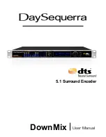 DaySequerra DownMix User Manual preview