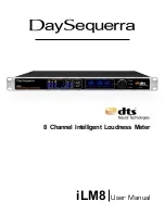 DaySequerra iLM8 User Manual preview