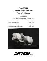 Daytona Anima 190F Owner'S Manual preview