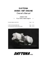 Предварительный просмотр 1 страницы Daytona Anima 190F Owner'S Manual