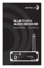 DaytonAudio BTR01 User Manual preview