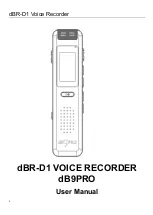 dB9PRO dBR-D1 User Manual preview