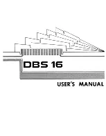 DBSlnternational DBS 16 User Manual preview