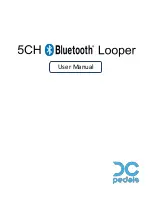 DC Pedals 5-Channel Bluetooth Looper User Manual preview