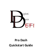 DD-EFI Pro Dash Quick Start Manual preview