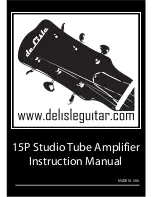 De Lisle 15P STUDIO Instruction Manual preview