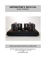 Decware TORII Mk II Operation Manual предпросмотр