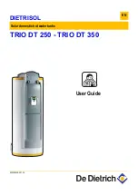 DeDietrich DIETRISOL TRIO DT 250 User Manual preview