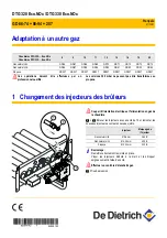 DeDietrich DTG 320 Eco.NOx Series Manual предпросмотр