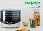 DEJELIN ND500 User Manual предпросмотр