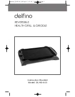 Delfino Delfino DLHG-443 Instruction Booklet preview