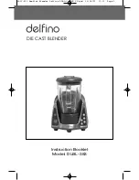 Preview for 1 page of Delfino DLBL-383 Instruction Booklet