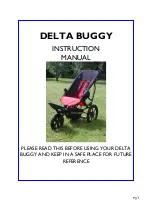 Preview for 2 page of Delichon DELTA BUGGY Instruction Manual