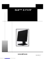 Dell E171FP Quick Setup Manual preview