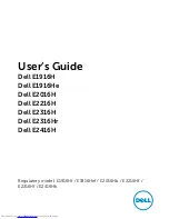 Dell E1916H User Manual preview