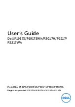 Dell P1917S User Manual preview