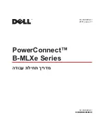 Предварительный просмотр 384 страницы Dell PowerConnect B-MLXe Series Getting Started Manual