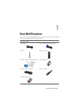 Preview for 10 page of Dell S300WI User Manual