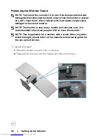 Предварительный просмотр 40 страницы Dell U4919DWb User Manual