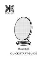 DELLICA S-X3 Quick Start Manual предпросмотр