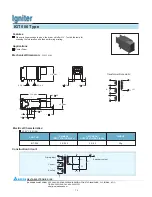 Delta Electronics Igniter IGT006 Specification preview