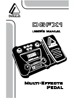 DeltaLab DGFX1 User Manual preview