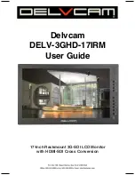 DELVCAM DELV-3GHD-17IRM User Manual предпросмотр