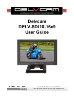 DELVCAM DELV-SDI10-16x9 User Manual preview