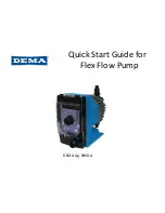 DEMA Flex Flow Quick Start Manual preview