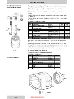 Preview for 21 page of Denison Hydraulics Goldcup 24 Service Information